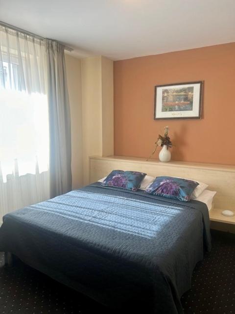 Hotel Pacific Timisoara Luaran gambar